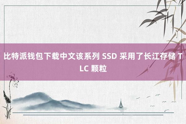 比特派钱包下载中文该系列 SSD 采用了长江存储 TLC 颗粒