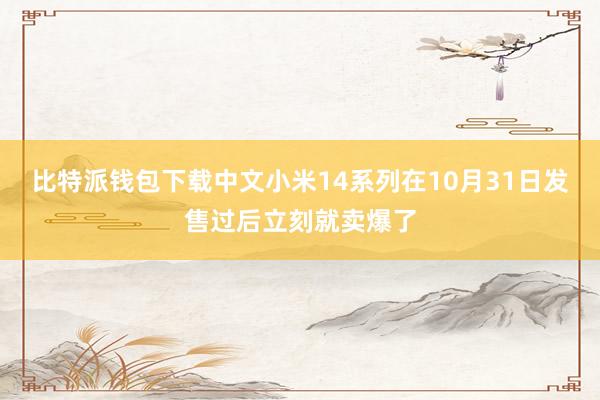 比特派钱包下载中文小米14系列在10月31日发售过后立刻就卖爆了